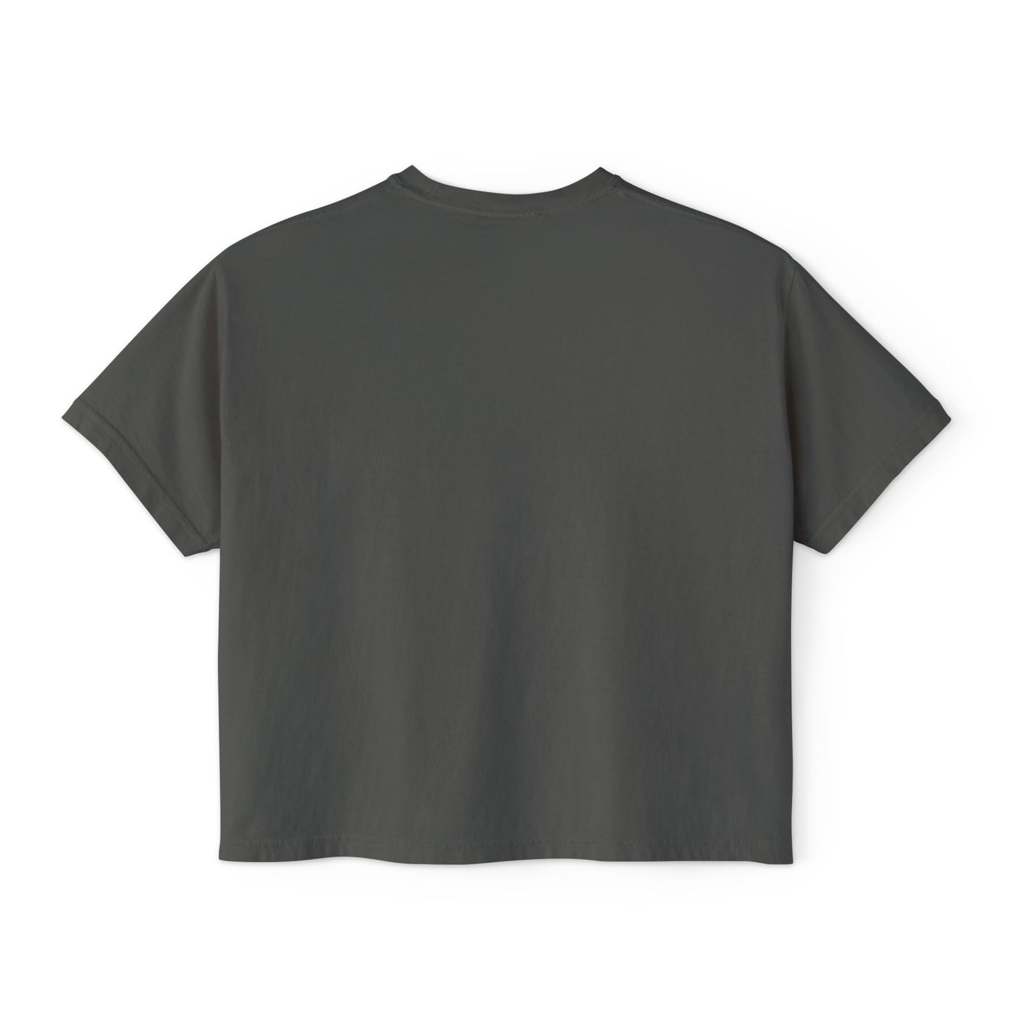Punjaban Desi Girl Women's Boxy Tee